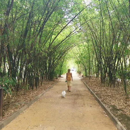 Home2book Bright & Comfy Cruz Center Apartmán Santa Cruz de Tenerife