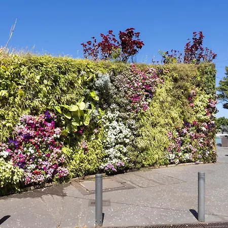 Home2book Bright & Comfy Cruz Center * Santa Cruz de Tenerife