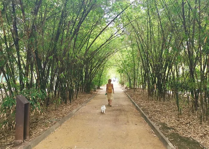 Home2book Bright & Comfy Cruz Center Apartmán Santa Cruz de Tenerife