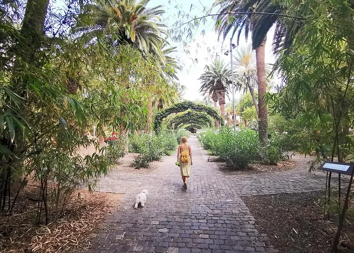 Apartmán Home2book Bright & Comfy Cruz Center Santa Cruz de Tenerife