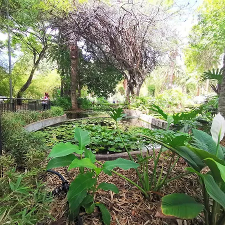 Home2book Bright & Comfy Cruz Center Daire Santa Cruz de Tenerife