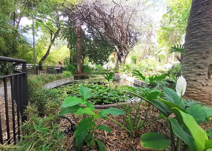 Home2book Bright & Comfy Cruz Center Daire Santa Cruz de Tenerife