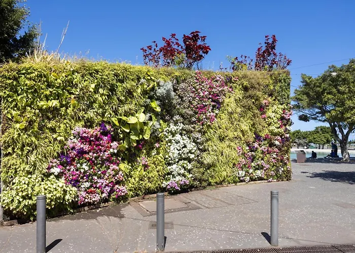 Home2book Bright & Comfy Cruz Center * Santa Cruz de Tenerife