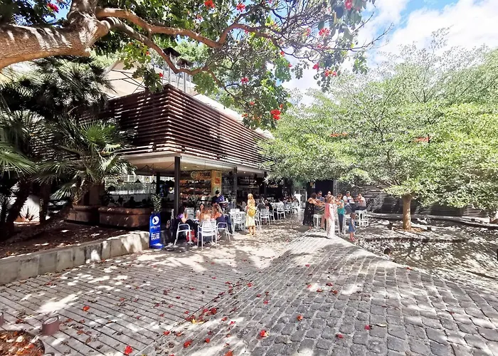 Home2book Bright & Comfy Cruz Center