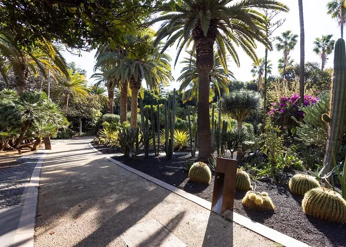 Home2book Bright & Comfy Cruz Center Santa Cruz de Tenerife